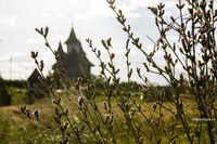 Comunicat de presă privind lansarea proiectului „Eco-inițiative în parohiile Bisericii Ortodoxe Române din România și Republica Moldova”