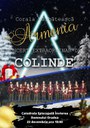 Concert extraordinar de colinde la Catedrala Episcopală din Oradea - Corala bărbătească „Armonia” din Constanța