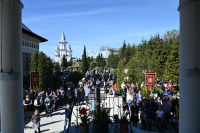 Crucea Domnului Hristos – Lecția supremă pentru umanitate.  De la Desfigurarea chinuitoare, la Transfigurarea mântuitoare