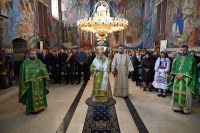 Duminica Intrării Domnului în Ierusalim. Nu spre tron, ci spre Cruce: Taina Împăratului Care Se jertfește