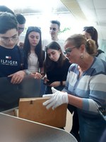 Elevii Liceului Ortodox au vizitat Biblioteca Universității din Oradea 