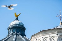 Îndemn la respectarea disciplinei canonice în cazurile abaterilor clericale grave