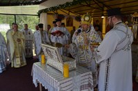 Preasfânta Fecioară Maria, Maica Izvorului Tămăduirii