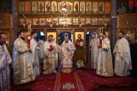 Străinul milostiv și Chipul Iubirii necondiționate. Lecția Milei dumnezeiești la început de urcuș omenesc